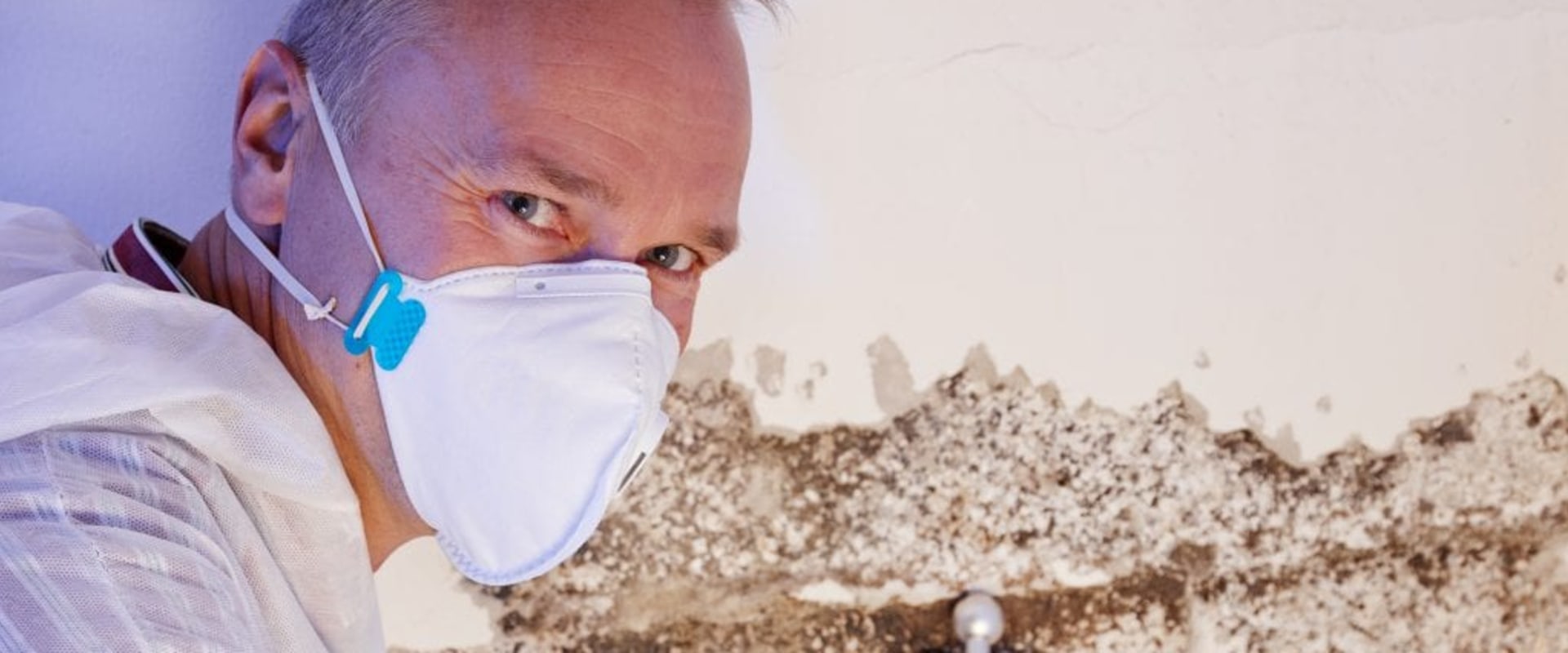 Everything You Need to Know About Home and Mold Inspectors