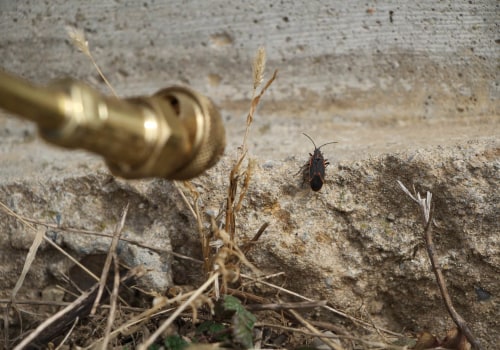Expert Pest Control Solutions