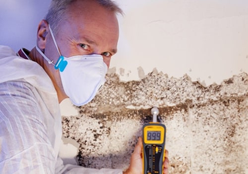 Everything You Need to Know About Home and Mold Inspectors